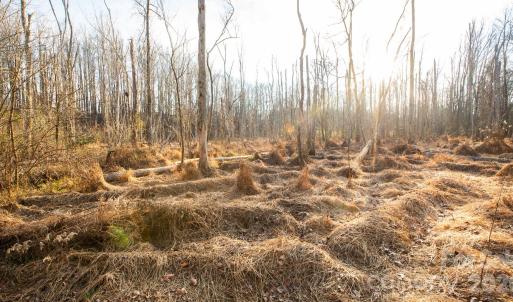 Photo #29 of TBD Upright, Mt Ulla, NC