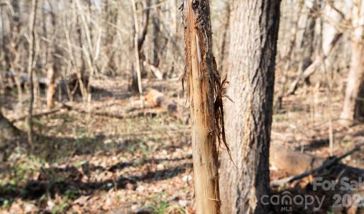 Photo #14 of TBD Upright, Mt Ulla, NC