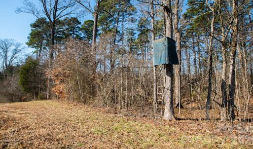 Photo #9 of TBD Upright, Mt Ulla, NC