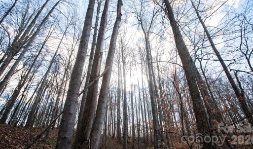 Photo #32 of TBD Upright, Mt Ulla, NC