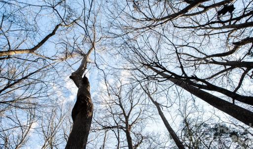 Photo #13 of TBD Upright, Mt Ulla, NC