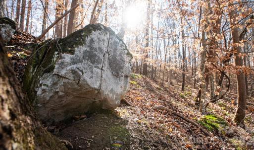 Photo #3 of TBD Upright, Mt Ulla, NC