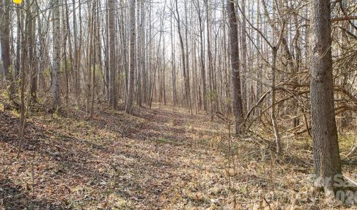 Photo #11 of TBD Upright, Mt Ulla, NC