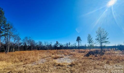 Photo #1 of Woodbine, Cheraw, SC