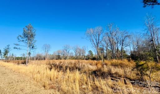 Photo #6 of Woodbine, Cheraw, SC