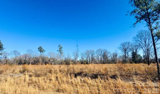 Photo #3 of Woodbine, Cheraw, SC