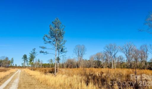 Photo #8 of Woodbine, Cheraw, SC