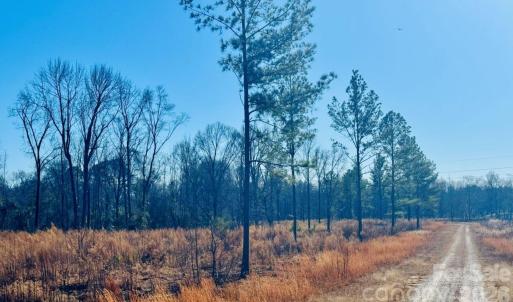 Photo #5 of Woodbine, Cheraw, SC