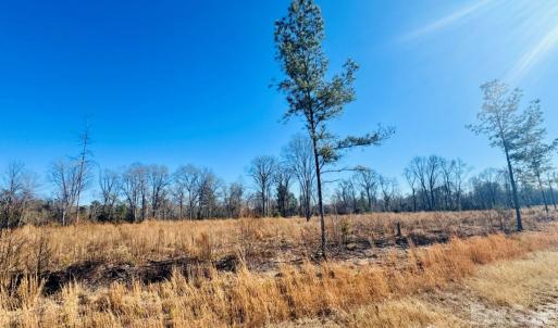 Photo #4 of Woodbine, Cheraw, SC