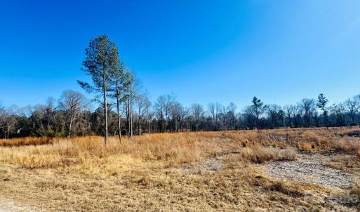 Photo #2 of Woodbine, Cheraw, SC