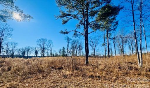 Photo #8 of Thistledown, Cheraw, SC