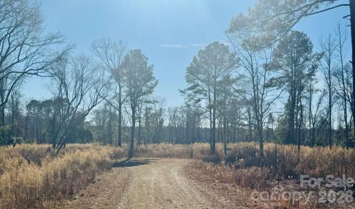 Photo #7 of Thistledown, Cheraw, SC