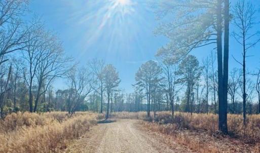 Photo #4 of Thistledown, Cheraw, SC