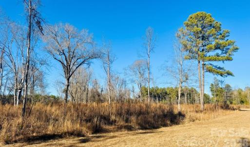 Photo #10 of Thistledown, Cheraw, SC