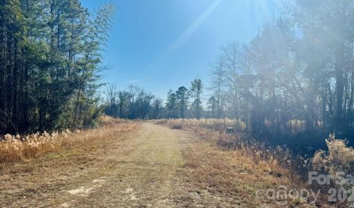 Photo #3 of Thistledown, Cheraw, SC