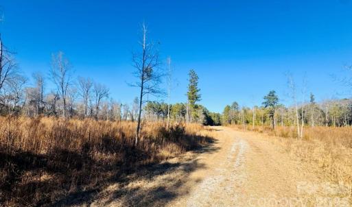 Photo #5 of Thistledown, Cheraw, SC