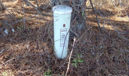 Photo #9 of 41 Ac Hwy 55, Clover, SC