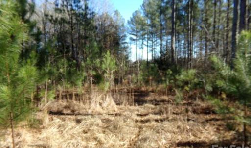 Photo #4 of 42 Ac Hwy 55, Clover, SC