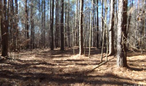 Photo #5 of 42 Ac Hwy 55, Clover, SC