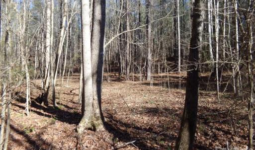 Photo #9 of 42 Ac Hwy 55, Clover, SC