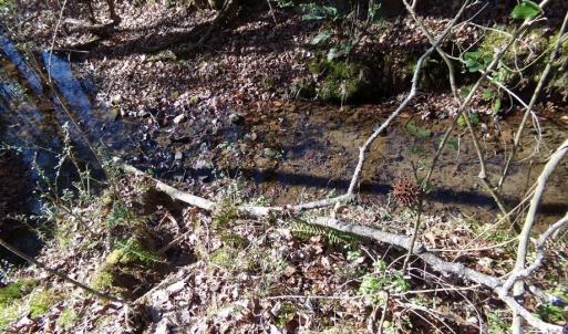 Photo #8 of 42 Ac Hwy 55, Clover, SC