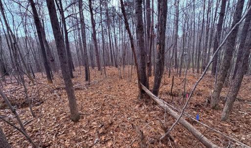 Photo #8 of 000 Vacant NC 138, Norwood, NC