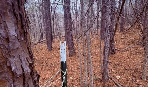 Photo #6 of 000 Vacant NC 138, Norwood, NC