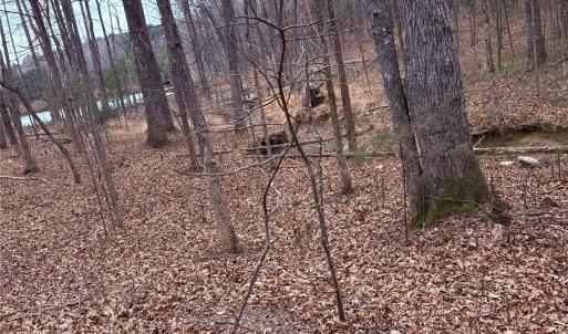 Photo #4 of 000 Vacant NC 138, Norwood, NC