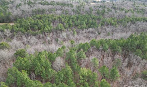 Photo #3 of 000 Vacant NC 138, Norwood, NC