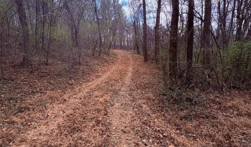 Photo #5 of 000 Vacant NC 138, Norwood, NC