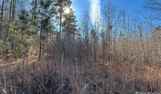 Photo #4 of 38 AC Mountain Gap, Richburg, SC