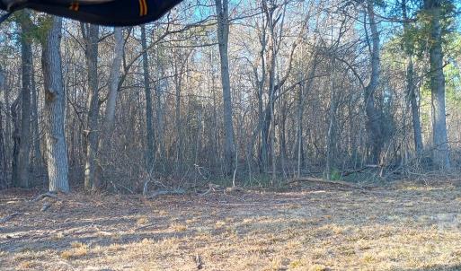 Photo #2 of Potter, Waxhaw, NC