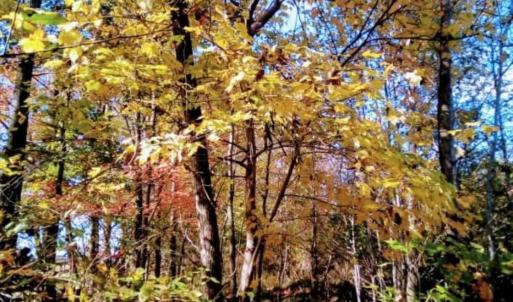 Photo #1 of Potter, Waxhaw, NC