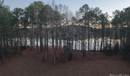 Photo #12 of TBD Spencer Pointe, Lilesville, NC