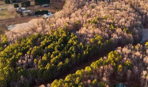 Photo #5 of 2209 Green View, Waxhaw, NC