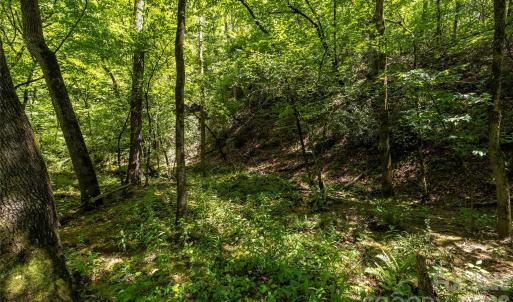 Photo #13 of Pageland, Lancaster, SC