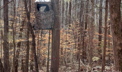 Photo #38 of 996 Splitrail, Clover, SC