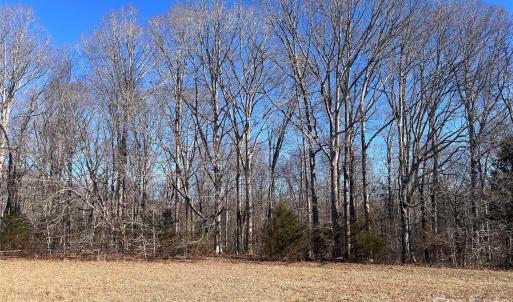 Photo #3 of 996 Splitrail, Clover, SC