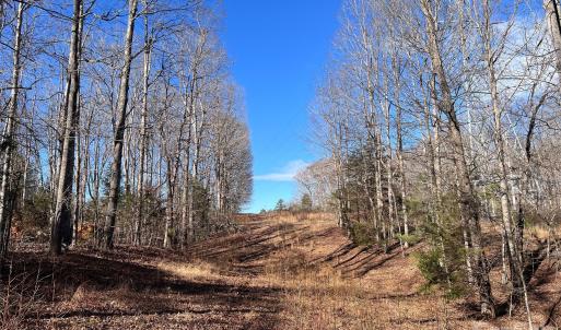 Photo #16 of 996 Splitrail, Clover, SC