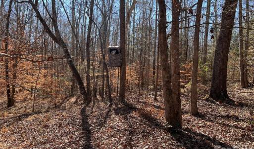 Photo #39 of 996 Splitrail, Clover, SC