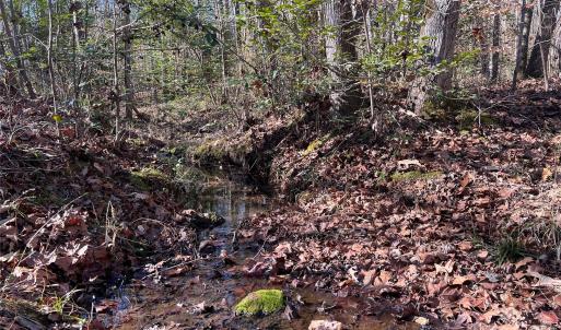 Photo #20 of 996 Splitrail, Clover, SC