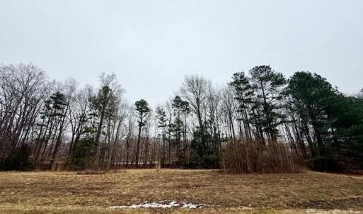 Photo #6 of lot 5 Shoreline, Weddington, NC