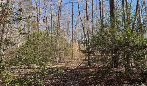 Photo #25 of 996 Splitrail, Clover, SC