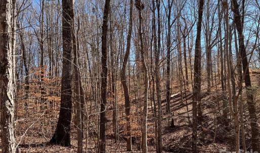 Photo #27 of 996 Splitrail, Clover, SC