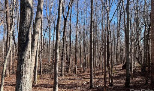 Photo #17 of 996 Splitrail, Clover, SC