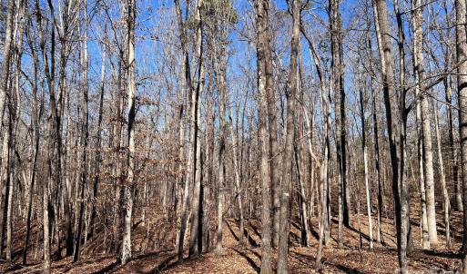 Photo #26 of 996 Splitrail, Clover, SC