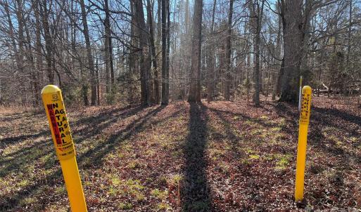 Photo #16 of 996 Splitrail, Clover, SC