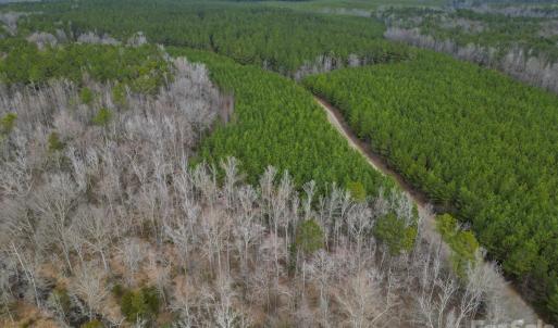 Photo #13 of Old Farm, Lancaster, SC