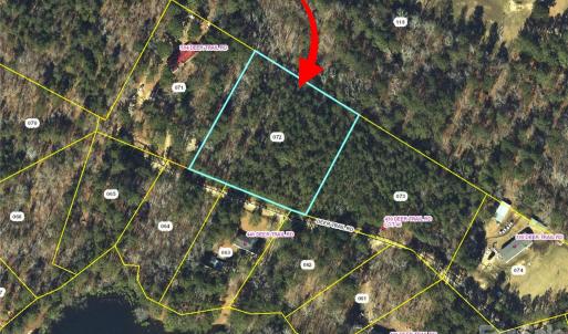 Photo #4 of 00-00 Deer, Raeford Township, NC