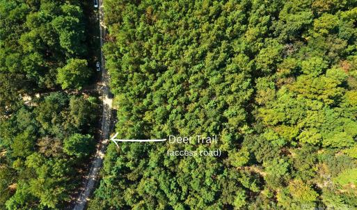 Photo #3 of 00-00 Deer, Raeford Township, NC